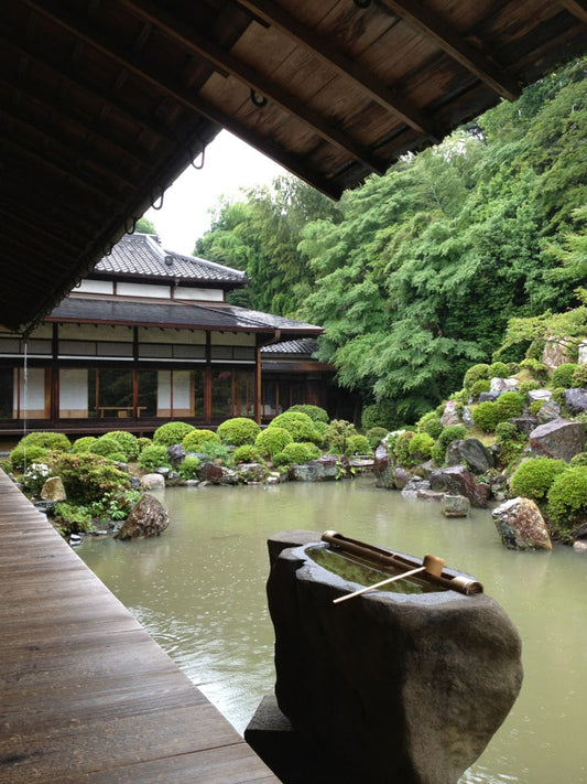 Ursprung der Kunst Japans bonsaiwardrobe